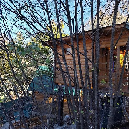 Still Cabin Cetinje Dış mekan fotoğraf