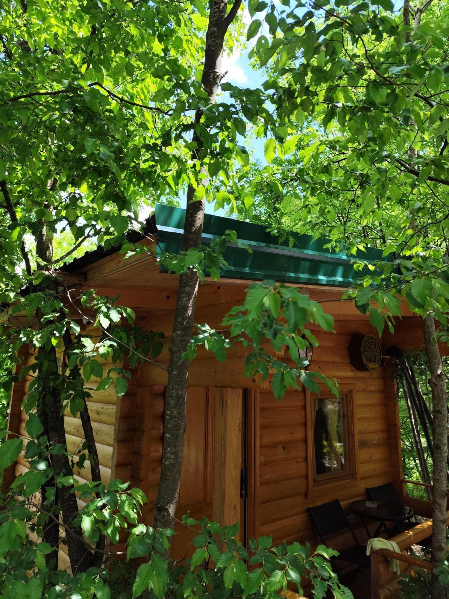 Still Cabin Cetinje Dış mekan fotoğraf