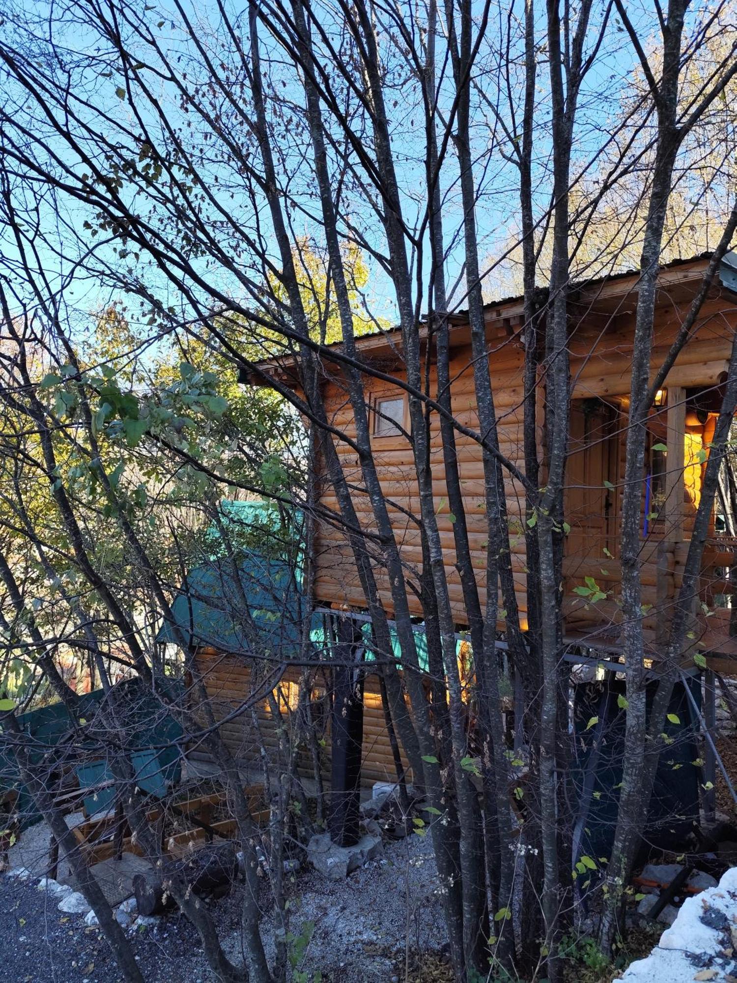 Still Cabin Cetinje Dış mekan fotoğraf